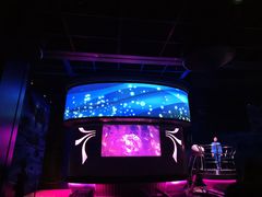 -海底巡游艇:尼莫和好友的海洋世界