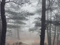 -苍山感通索道