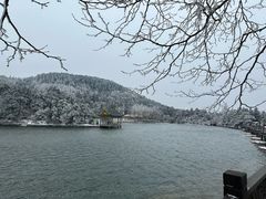 -庐山风景区花径公园