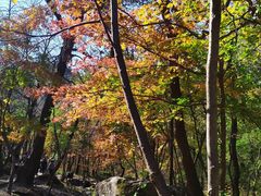 -玉渡山自然风景区