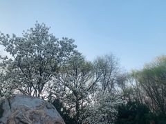 -廊坊市自然公园