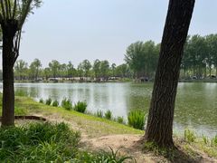 -东郊湿地公园