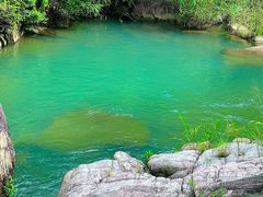 -广州市流溪河国家森林公园