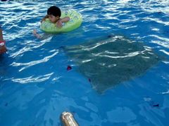 戏水区-杜氏旅游度假区