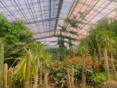 -呀路古热带植物园