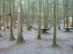 -重庆睡佛山森林公园