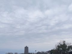 -袁记花椒鸭