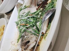 -院里寻菜·精致庭院菜(观沙岭店)