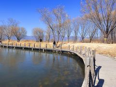 -野鸭湖国家湿地公园