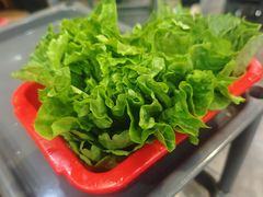 -濠轩阁特色生蚝火锅(水湾路店)