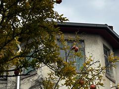 -荒岛书店(黄县路店)