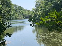 -白马涧龙池景区