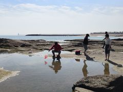 -日照灯塔风景区