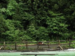 -武陵山森林公园