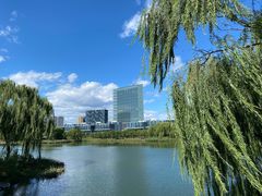 -大兴滨河森林公园