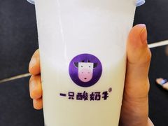 -一只酸奶牛(八一路店)
