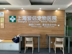 -爱侣宠医·鹦鹉专科·小型哺乳类·异宠专科(灵石路店)