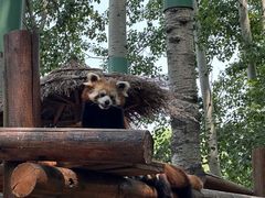 -北京野生动物园