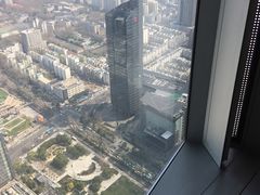 -紫峰大厦