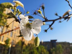 -云南艺术学院(呈贡校区)