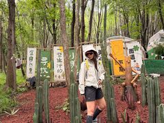 -帽儿山风景区