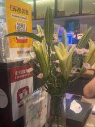 点击看大图 -玛莲朵·海菲秀冰珀科