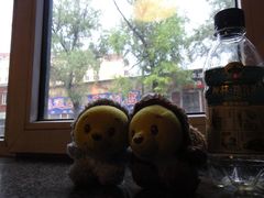 -哈尔滨北方国际青年旅舍(中央大街店)