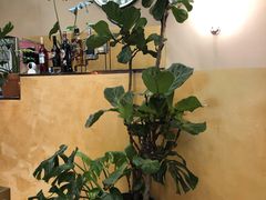 -PlantsEatery·植物食堂(REX春熙店)