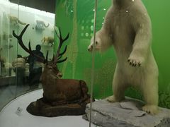 -国家自然博物馆