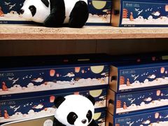 -眉州东坡(博雅店)