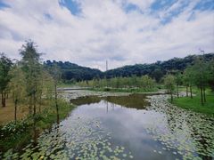 -东莞植物园