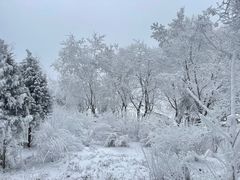 -秦岭终南山世界地质公园翠华山景区