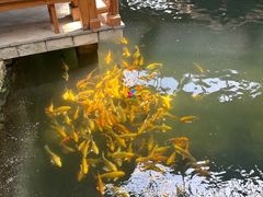 -南宫五洲植物乐园