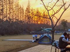 -前小桔亲子创意农场·草莓采摘·露营烧烤