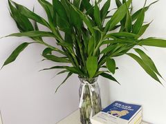 -美豪怡致酒店(上海长寿路店)