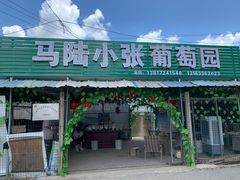 -马陆小张葡萄园农家乐