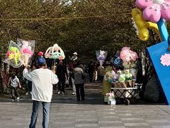 -高东镇樱花园
