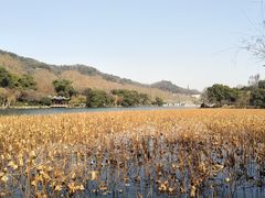 -北山街历史文化街区