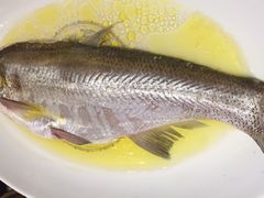 鸡汁长江白鱼-南京大牌档(凯德大峡谷店)