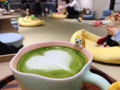 -逗柴咖啡屋·狗咖猫咖宠物桌游