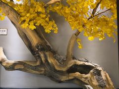 -大潮淮·淮扬菜(何园旗舰店)