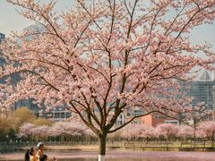 -西北湖绿化广场