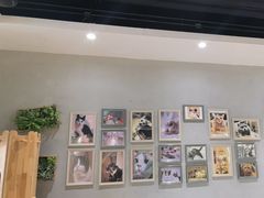 -藏猫猫咖啡主题馆(中央大道店)