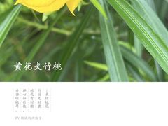 -巽寮湾
