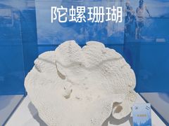 -中国地质博物馆