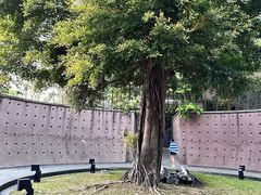 -广州从化都喜泰丽度假酒店温泉