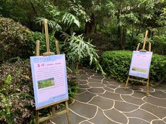-腾冲洞山温泉村