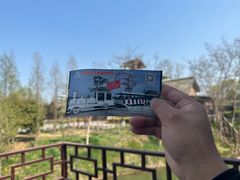 -泗洪洪泽湖湿地景区