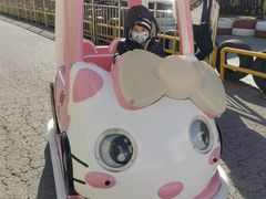 -同里湖度假村(二期店)