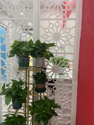 -晶奕空间专业脱毛连锁机构
